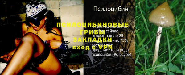MDMA Premium VHQ Алзамай