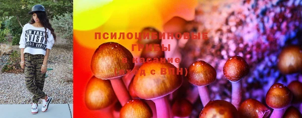 PSILOCYBIN Семёнов