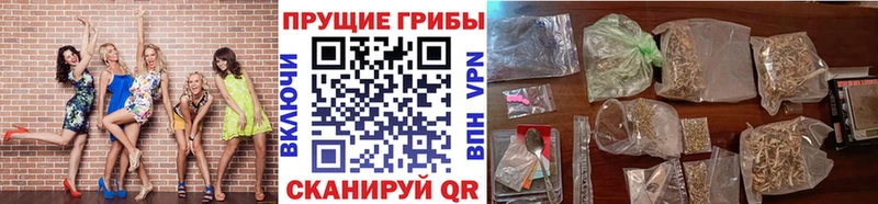 Псилоцибиновые грибы Cubensis MEGA онион Гагарин