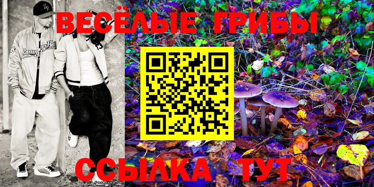 Галлюциногенные грибы GOLDEN TEACHER  Вход с VPN  Гагарин 